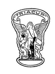 Trademark image