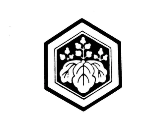 Trademark image