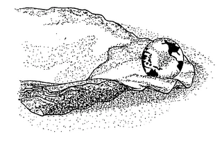 Trademark image
