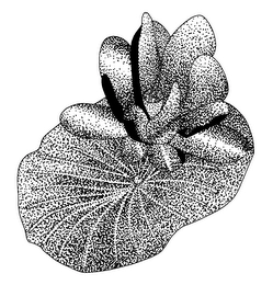 Trademark image