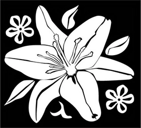 Trademark image