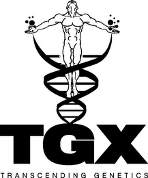 Trademark image