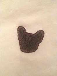 Trademark image