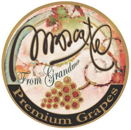 Trademark image