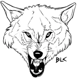 Trademark image