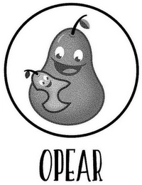 Trademark image