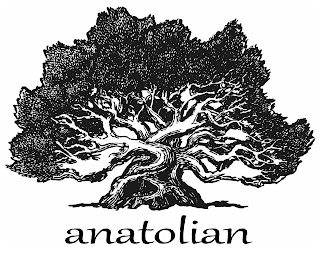 Trademark image